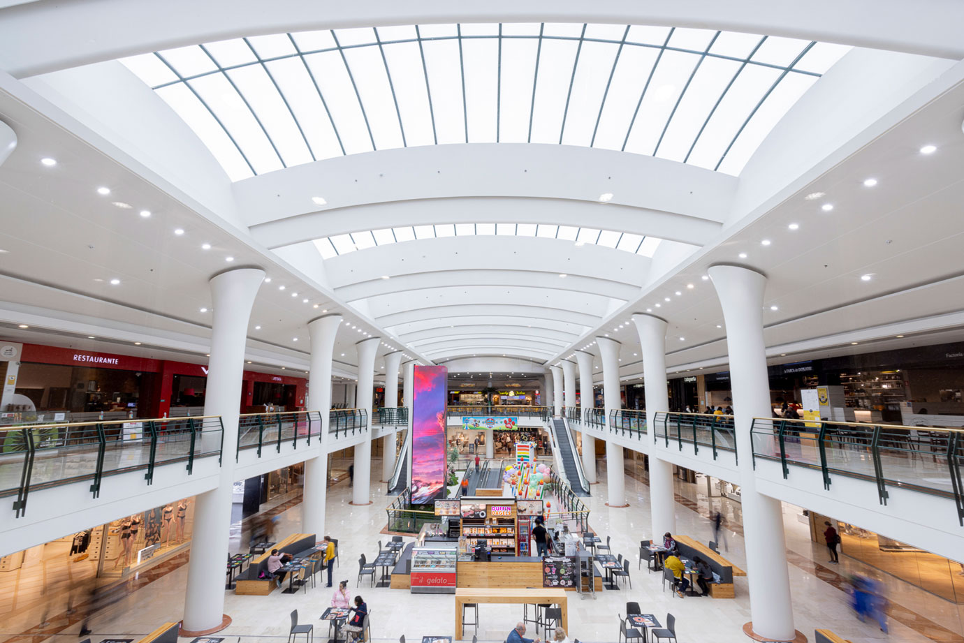 La Casa de las Carcasas - Foto del local