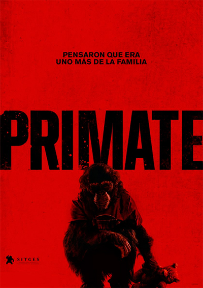 Primate