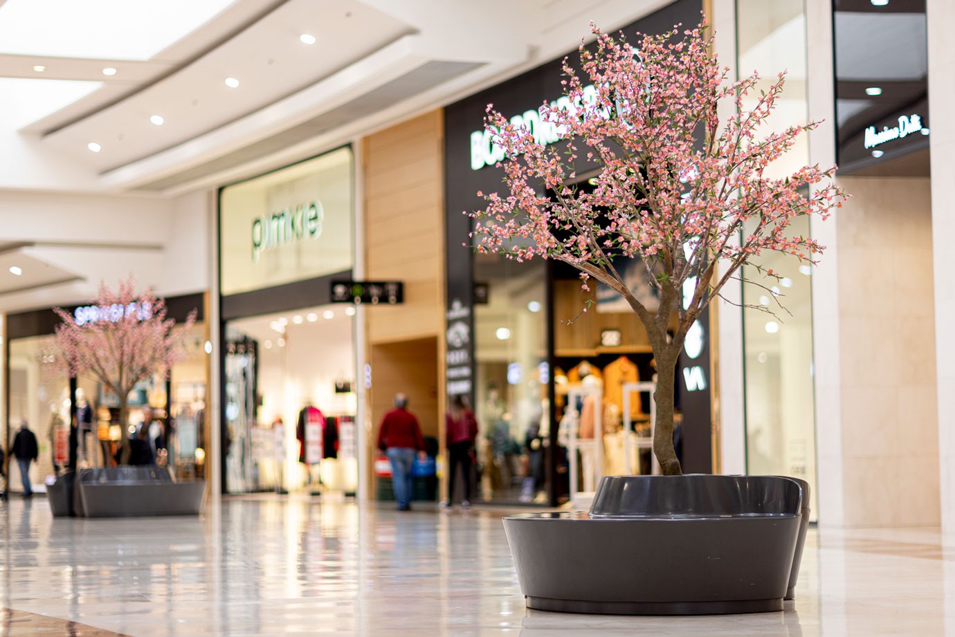 CELIO - Foto del local